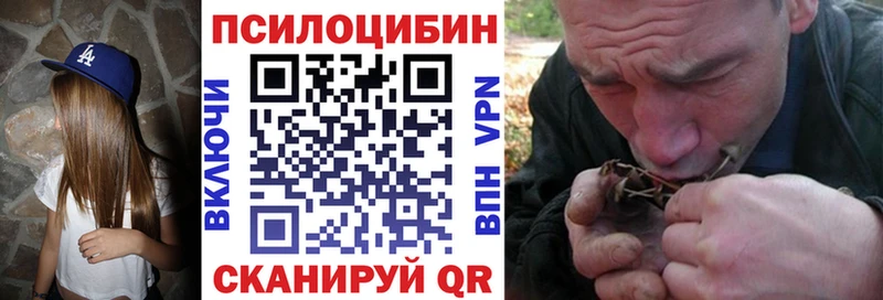 где продают   Салехард  Псилоцибиновые грибы прущие грибы 